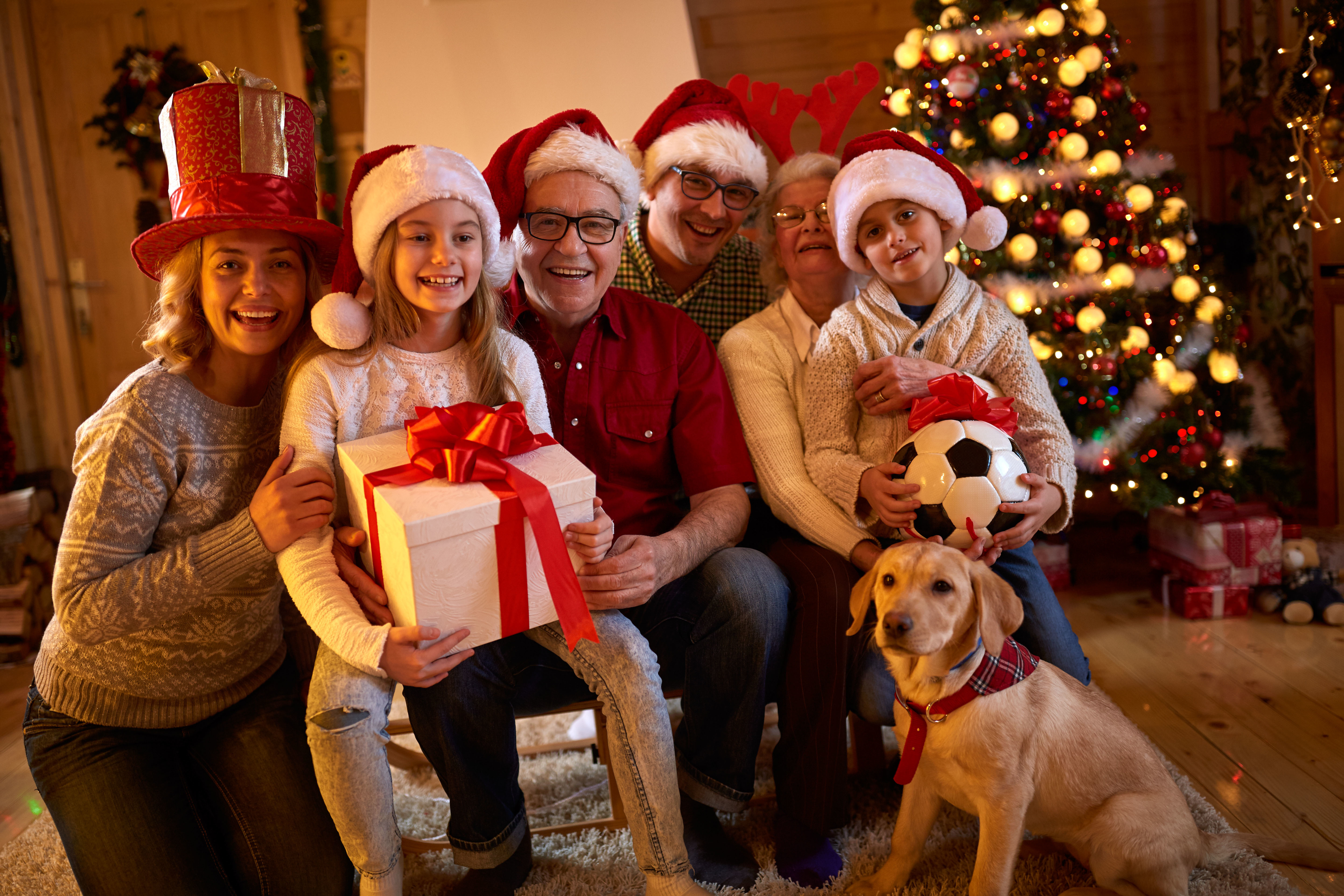 Family Christmas with dog